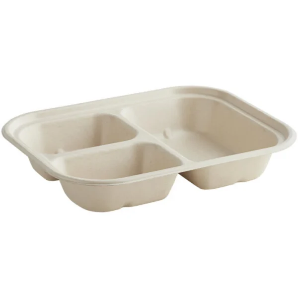 EWLW bagasse takeout boxes